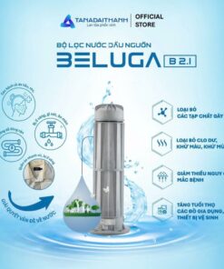 Bộ lọc đầu nguồn Tân Á Đại Thành Beluga B2.1
